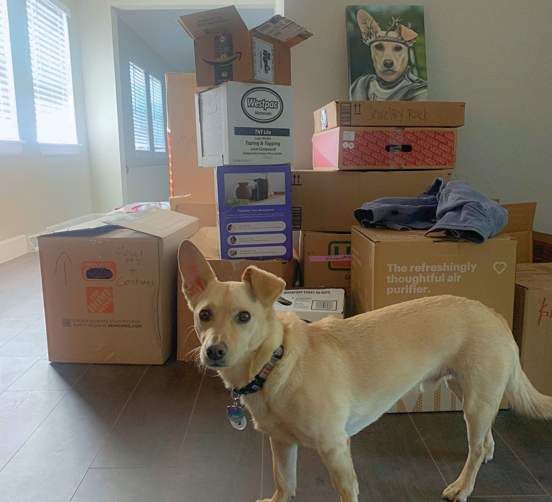 New Home, Who Dis? Helping Your Dog Adjust to a Move