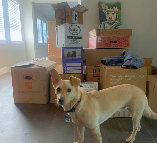 New Home, Who Dis? Helping Your Dog Adjust to a Move