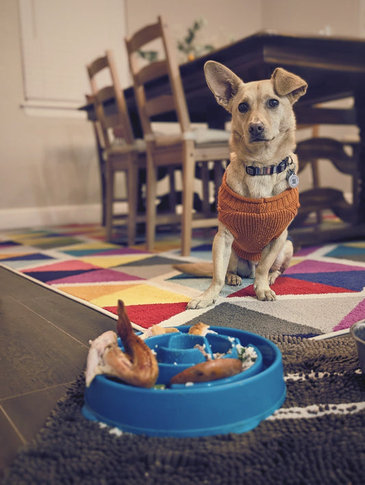 Renly and his Turkey Day Feast