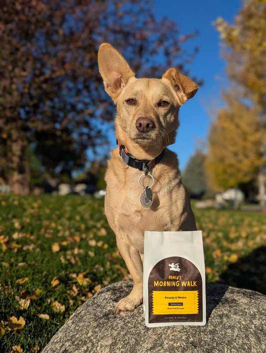 Renly's Morning Walk - Medium Roast - 12oz - Whole Bean