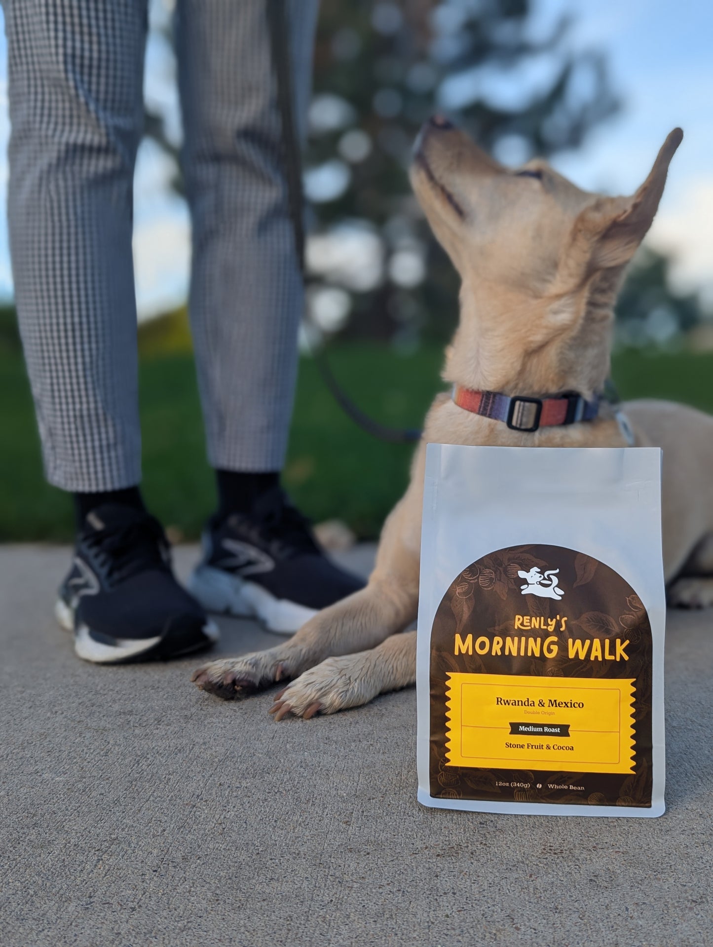 Renly's Morning Walk - Medium Roast - 12oz - Whole Bean