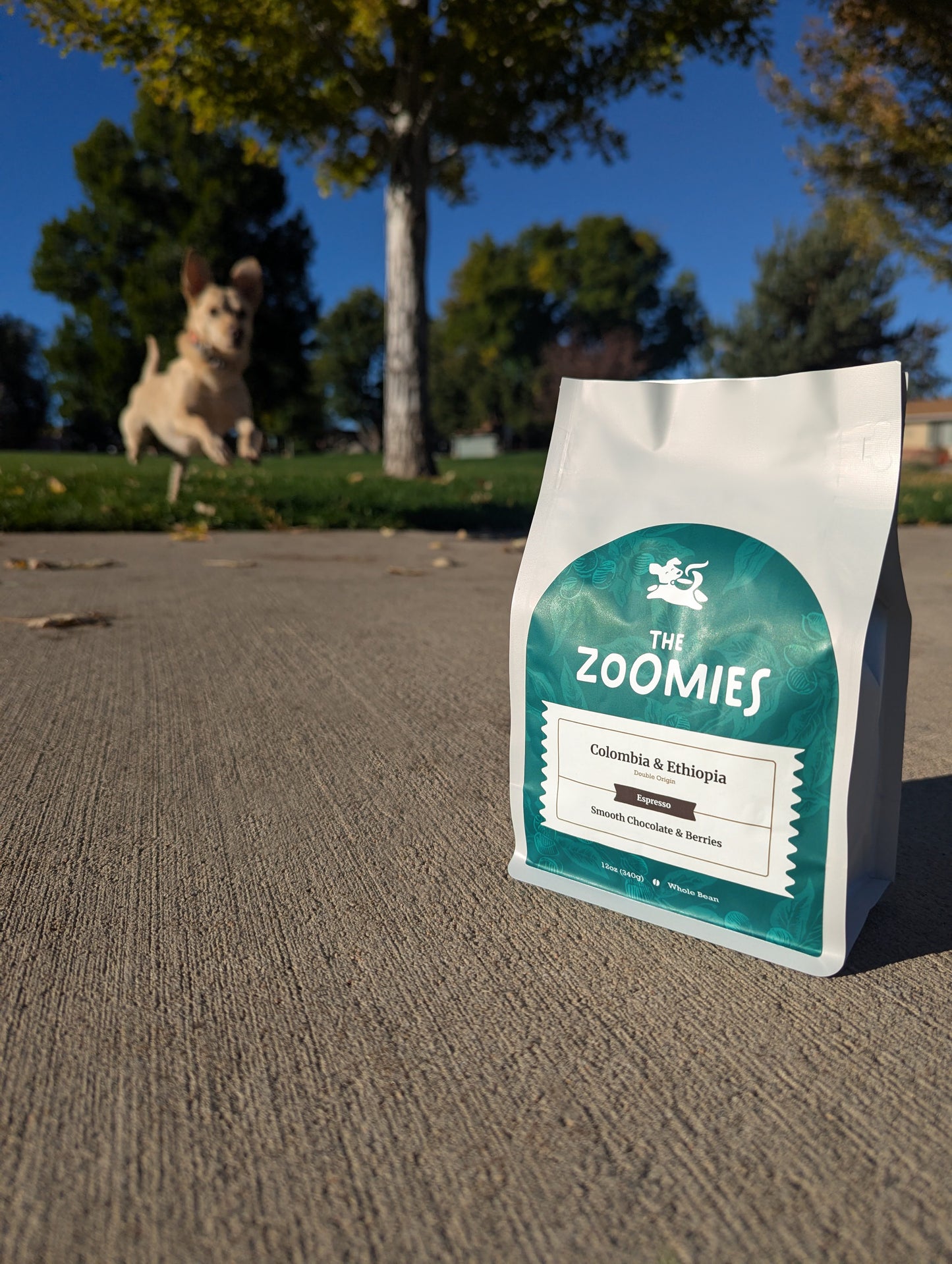 The Zoomies - Espresso Roast - 12oz - Whole Bean